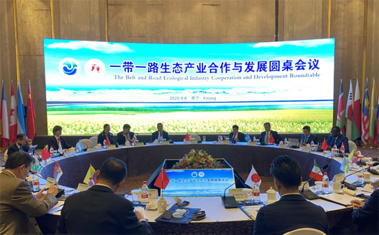 ACC Secretary-General Chen Dehai Attended the 2020 Belt and Road Roundtable on Ecological Industry Cooperation and Development